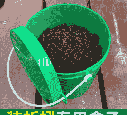 蜜蜂箱里养殖蚯蚓怎么样