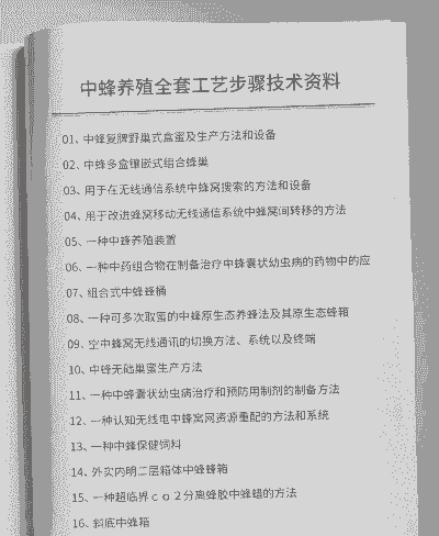 怎么样辨别中蜂养殖技术
