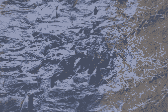 养殖水里氨氮高会怎么样