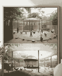 怎么改造动物养殖场房子