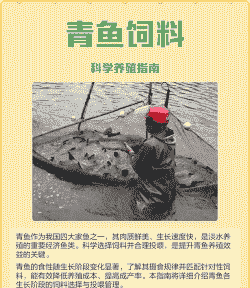 青鱼养殖场饲料怎么样