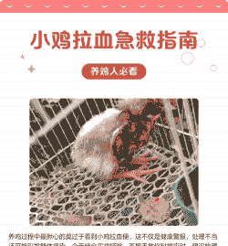 养殖小鸡拉血怎么回事啊