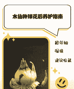 水仙花开了后怎么养殖