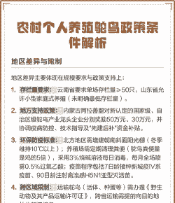 农村养殖是怎么样的政策