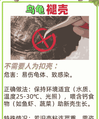 养殖户脱壳后怎么处理的