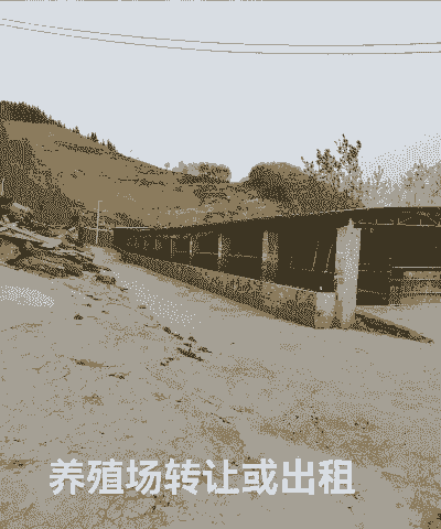 养殖户有没有出路怎么看