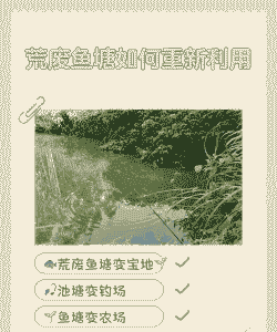 天气转冷养殖池塘怎么办