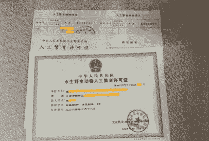 怎么办理水生动物养殖证