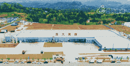 东营龙大养殖厂怎么样