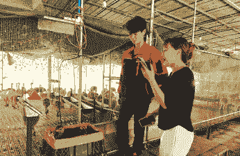 农村电商养殖业怎么样