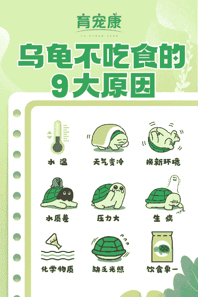 养殖吃得多不长肉怎么办