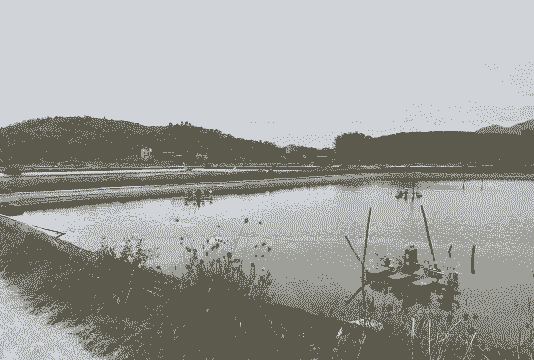 养殖场澳洲小龙虾怎么养