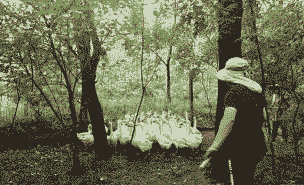 包地养殖包不到地怎么办