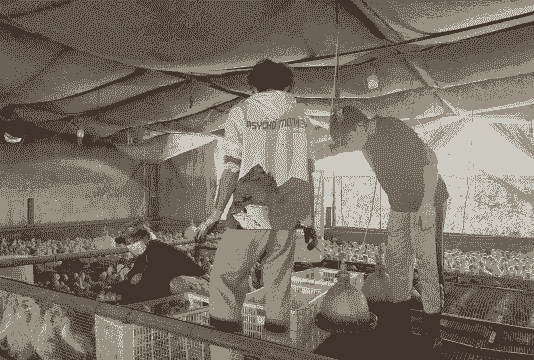 河海大学养殖业怎么样