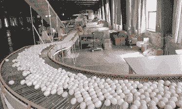 县发展蛋鸡养殖业怎么样