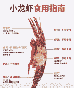 传统养殖小龙虾怎么做的