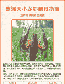 养殖场怎么喂小龙虾吃