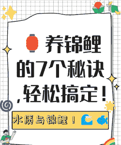 十月份鲤鱼怎么养殖