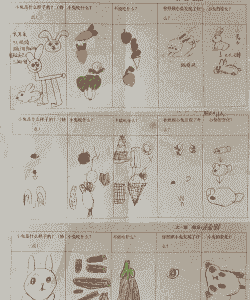 兔子的养殖计划表怎么做