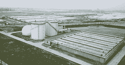 新希望公司养殖厂怎么样