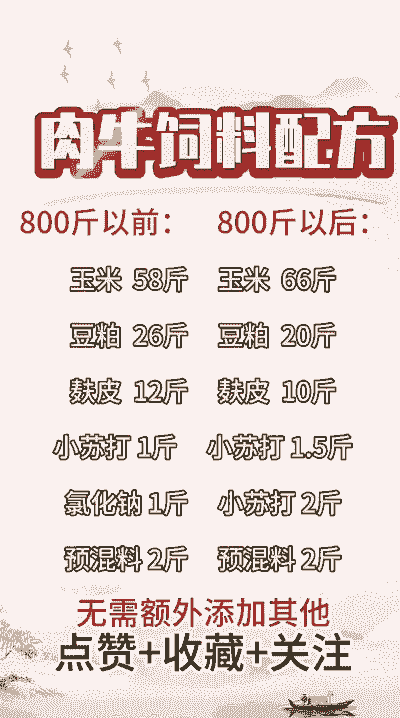 养殖场的饲料怎么做好吃