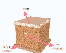 中蜂活框养殖怎么上继箱