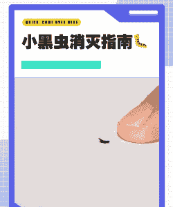 秋天养殖小黑虫怎么办啊