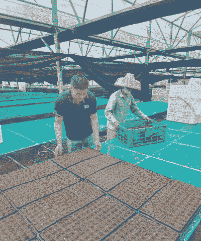 集约化养殖前景怎么样呢