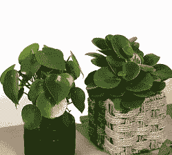 羊腿肉多少钱一斤