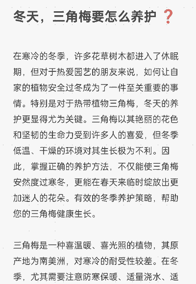 冬季三角梅要怎么养殖