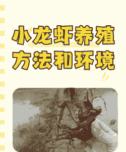 龙虾养殖池有草怎么办