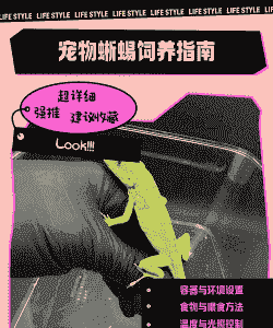 四脚蛇怎么人工养殖的