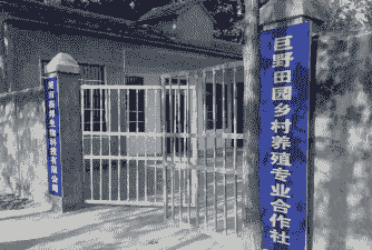 乡镇上养殖合作社怎么样