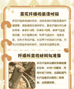 茶花扦插繁殖最佳时间