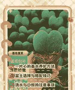 多肉一片心怎么养殖方法