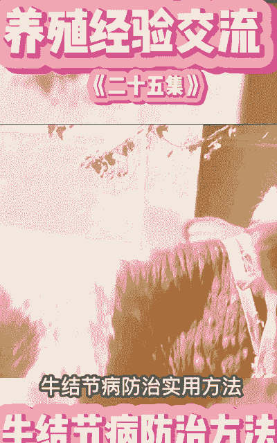 养殖牛得结节病怎么治