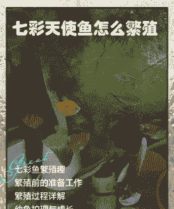 七彩鱼养殖怎么选水草呢