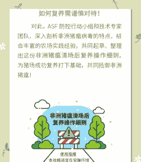 非洲猪瘟后养殖场怎么办