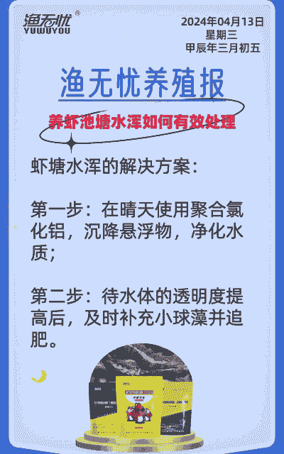 养殖虾塘水浑浊怎么办呢