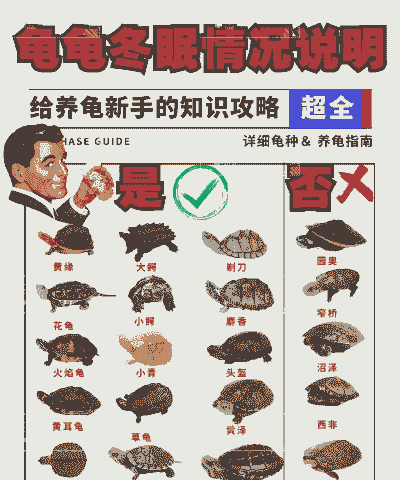 九个月大的乌龟怎么养殖