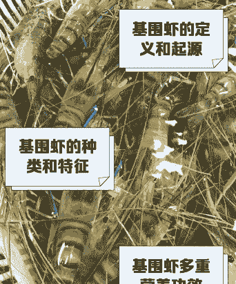 基围虾 基围虾百科