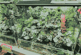 大型养殖场怎么改造造景