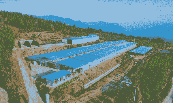 和朋友投资养殖场怎么样