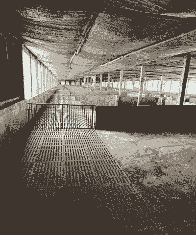 建小型养殖场条件怎么样