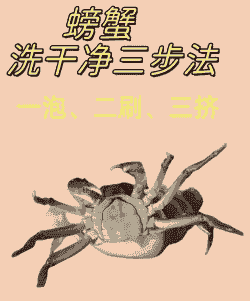 养殖大闸蟹怎么处理