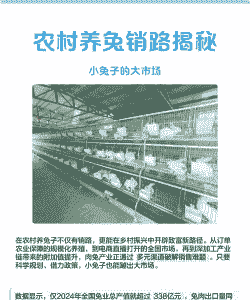 四川养殖兔子销路怎么样