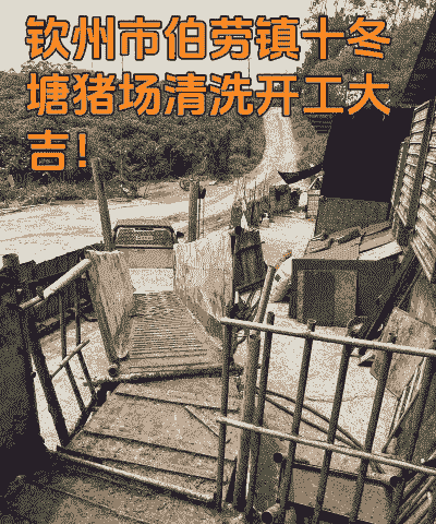 养殖户怎么样清理猪槽子