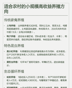 在农村怎么做养殖场赚钱