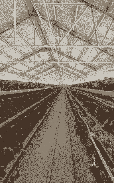 二零二二年养殖业怎么样