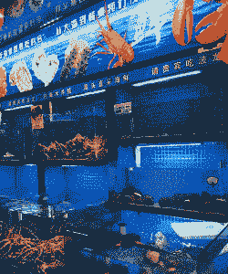 开一家海鲜店怎么养殖